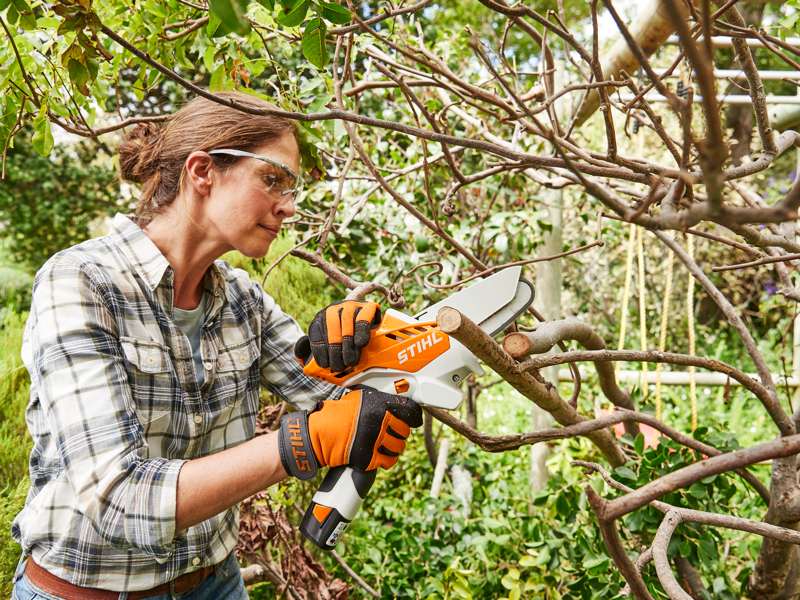 Il potatore a batteria di Einhell - MG Marketing Giardinaggio