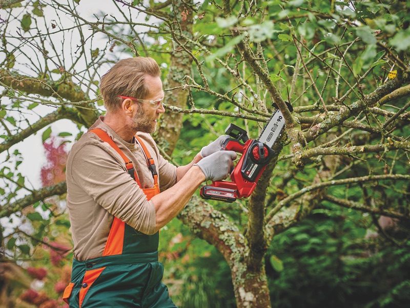 Il potatore a batteria di Einhell - MG Marketing Giardinaggio