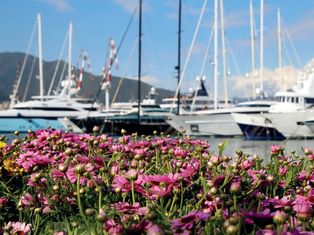 yacht & garden a Genova