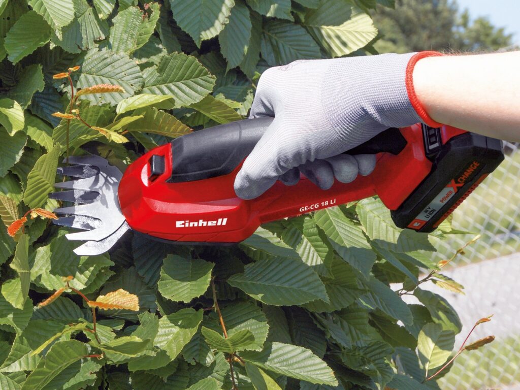 Taglia rami a batteria di Einhell - MG Marketing Giardinaggio