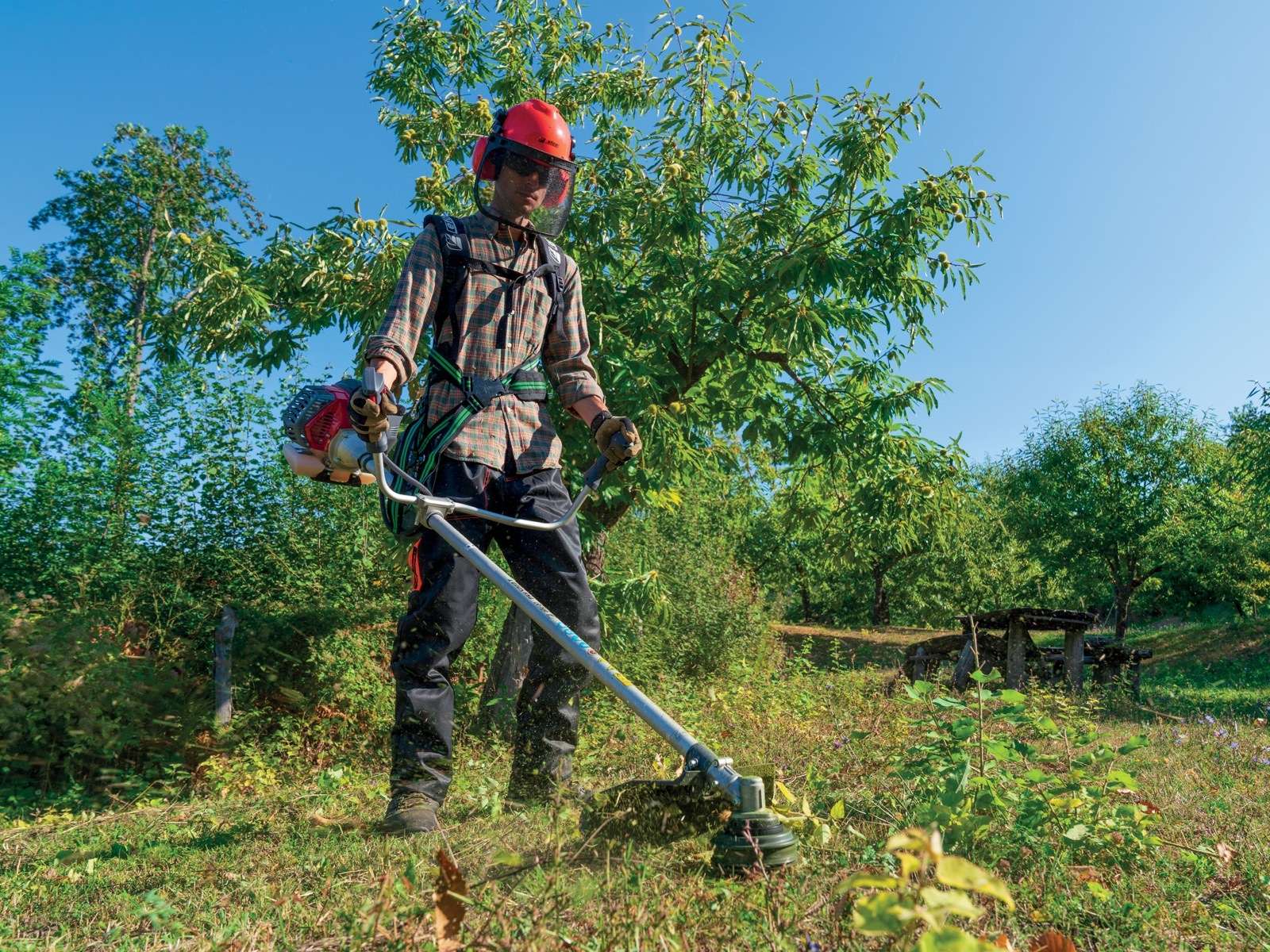 Tosaerba ellittico a batteria Einhell - MG Marketing Giardinaggio